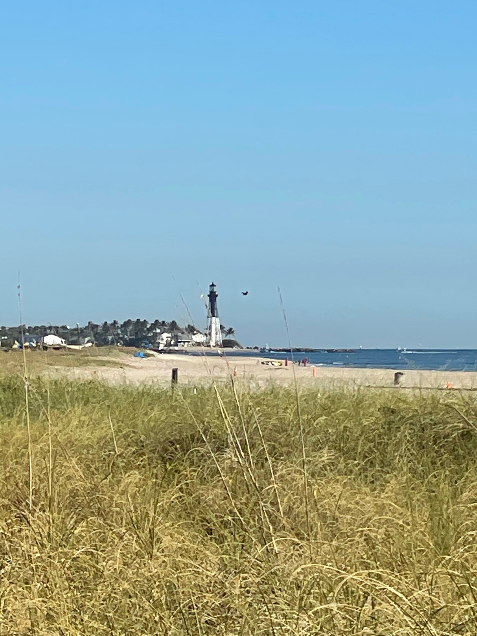 Best Beach Resorts in Pompano Beach, FL: 2025 Deals & Offers Now!