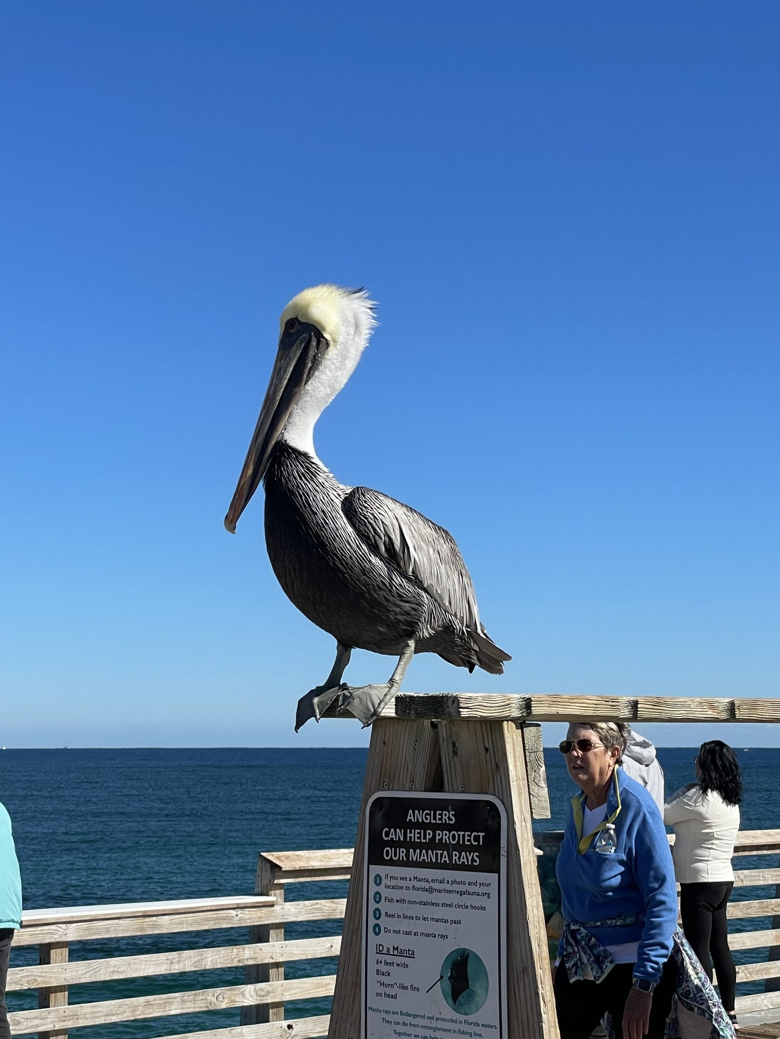 Family Fun in Pompano Beach: Top Parks and Places for Kids on a Weekend