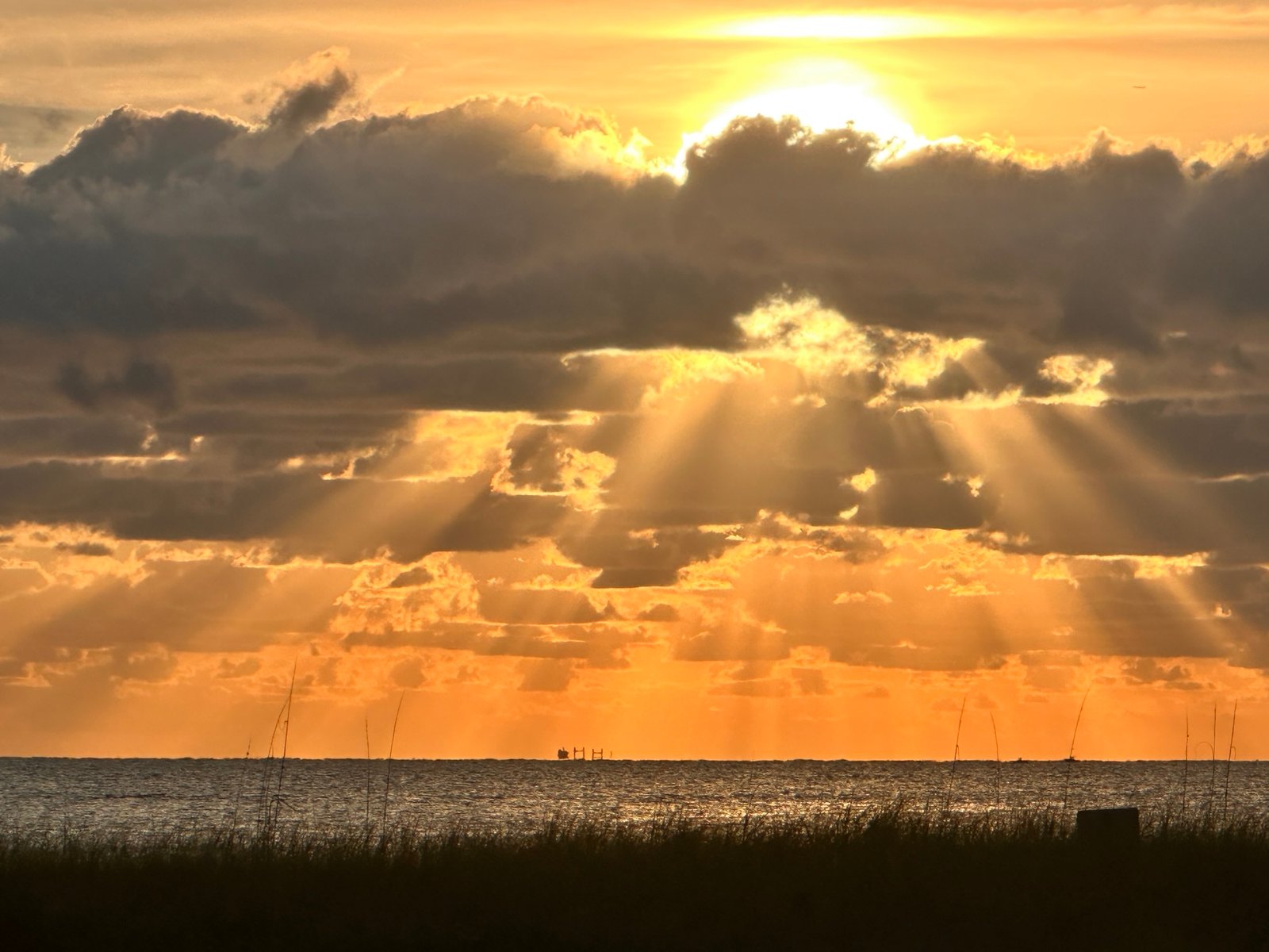 Family-Friendly Activities Within 100 Miles of Pompano Beach on a Cloudy Day