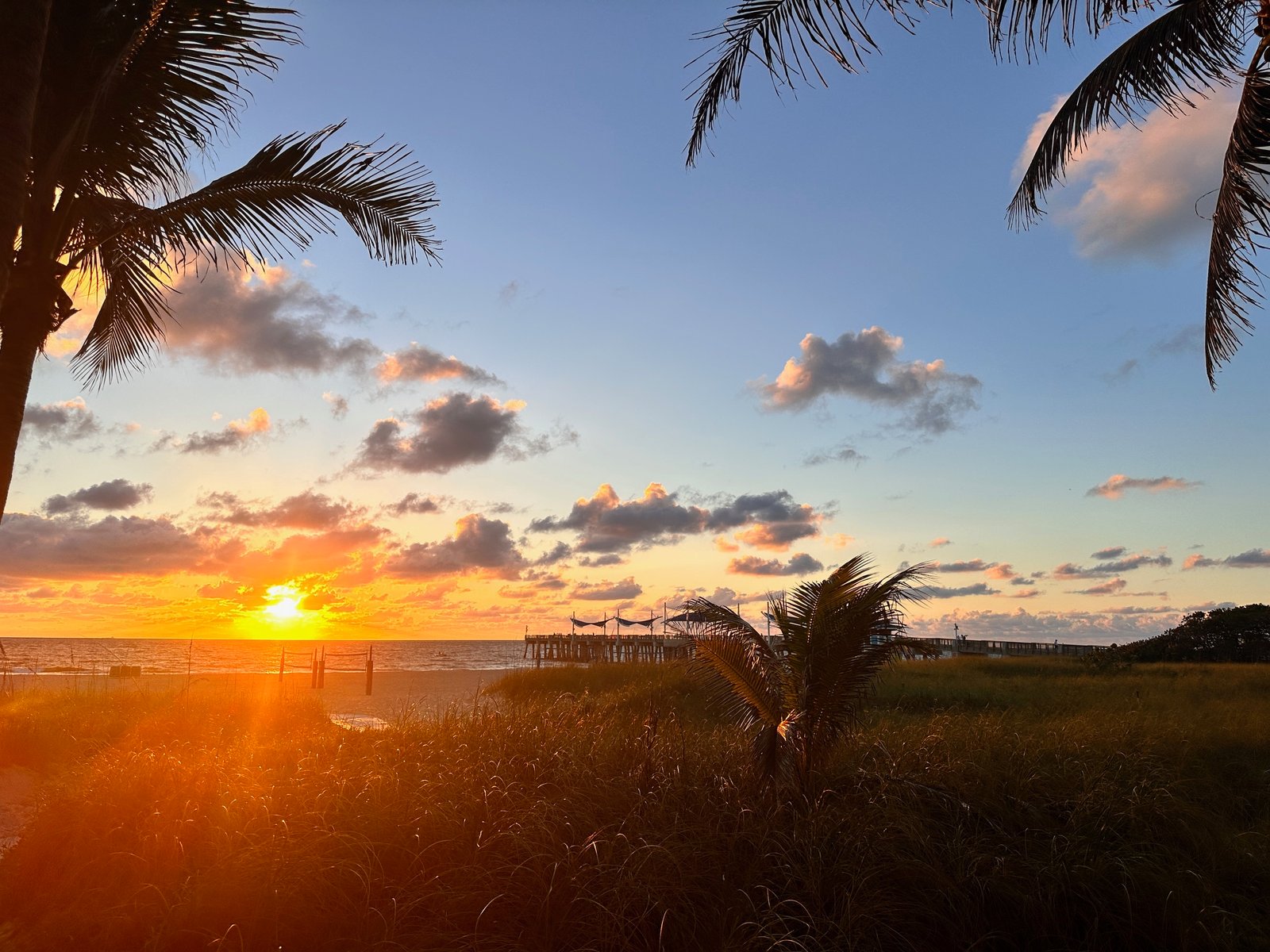 Outdoor Activities to Immerse Yourself in Nature and Experience the Florida outdoors