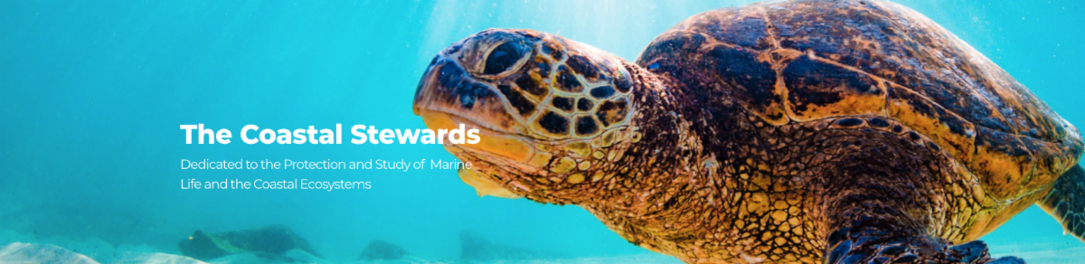Gumbo Limbo Nature Center